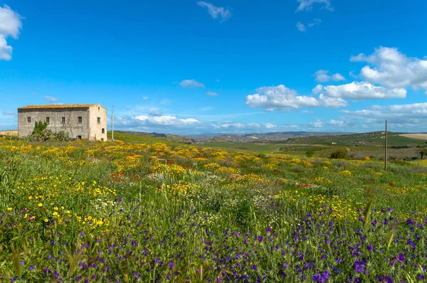 Schilderachtig Siciliaans Landschap Caltanissetta Sicilië Italië Europa — Stockfoto