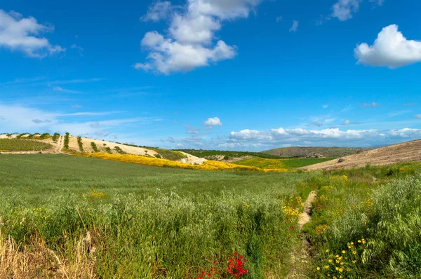 Wunderschöne Sizilianische Hügel Caltanissetta Sizilien Italien Europa — Stockfoto