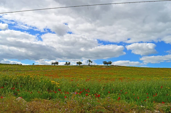 Mooie Lente Landschap Mazzarino Caltanissetta Sicilië Italië Europa — Stockfoto