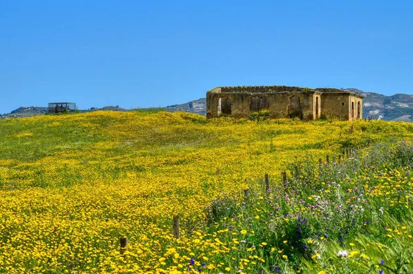 Altes Bauernhaus Der Sizilianischen Landschaft Schöne Sizilianische Landschaft Mazzarino Caltanissetta — Stockfoto
