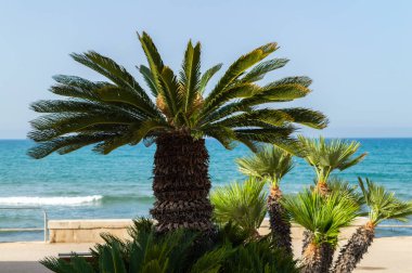 Güzel Sicilya Seascape, Akdeniz, Donnalucata, Scicli, Ragusa, Italya, Avrupa