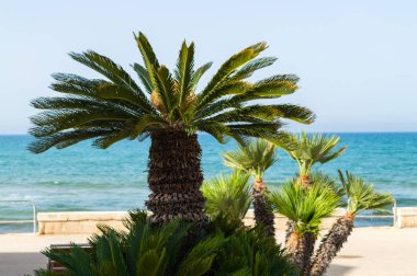 Güzel Sicilya Seascape, Akdeniz, Donnalucata, Scicli, Ragusa, Italya, Avrupa