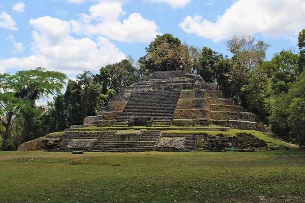 Starożytna Piramida Majów Znana Jako Jaguar Temple Lamanai Rezerwacie Archeologicznym — Zdjęcie stockowe