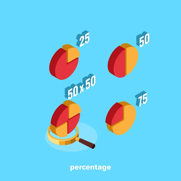 Grafik Und Lupe Isometrisches Bild — Stockvektor