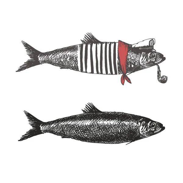 Klasik tarzda balık. Balık koleksiyonu vektör illüstrasyonu / Klasik tarzda balık. Balık koleksiyonu vektör illüstrasyonu.
