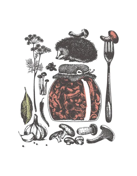 Mantar seti, malzemeler, turşu ve salamura için klasik tarzda elementler. Vektör illüstrasyonu