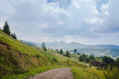 Ukrayna 'daki Karpat dağlarında çitlerle çevrili yeşil yaz otlaklarında yol.