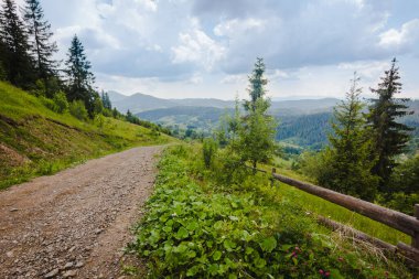 Ukrayna 'daki Karpat dağlarında çitlerle çevrili yeşil yaz otlaklarında yol.