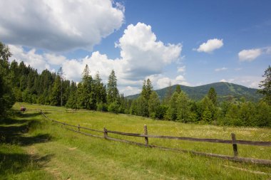 Ukrayna 'daki Karpat Dağları' ndaki çiftlikte ahşap çitli yeşil yaz otlağı, bulutlu mavi gökyüzü arka planına sahip.