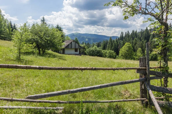Abgelegenes Holzhaus im grünen Sommer Karpaten — Stockfoto