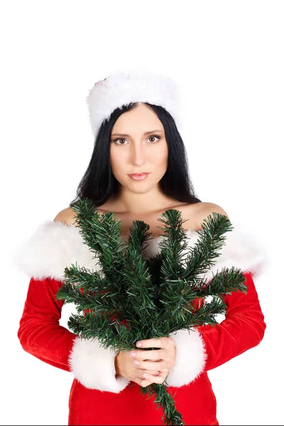 Belle fille en costume de Père Noël tenant des branches d'arbre sur fond blanc . — Photo