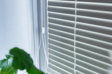 Kör bahisler üzerinde parlak bir oda içinde pencere eşiği. İç daire. Daire için modern perdeler.