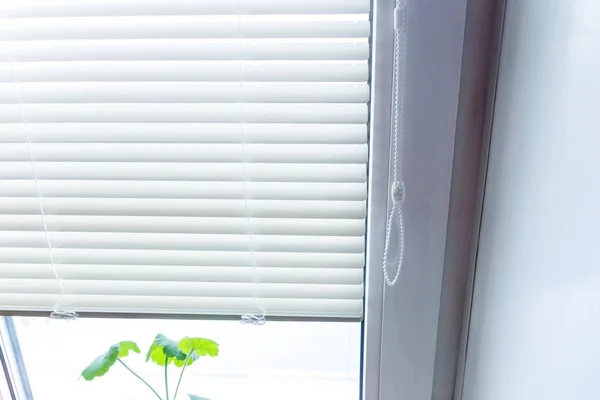 Kör bahisler üzerinde parlak bir oda içinde pencere eşiği. İç daire. Daire için modern perdeler.