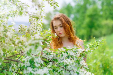 Çiçekli bir elma ağacında poz veren kızıl saçlı genç bir kız. Bahar ağacı. Ağacın dallarından geçen güneş ışığı.