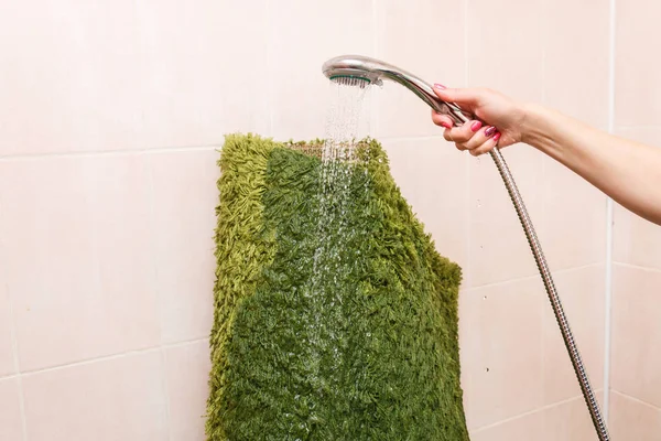 Wet carpet cleaning at home. Washing the carpet in the bathroom — 스톡 사진