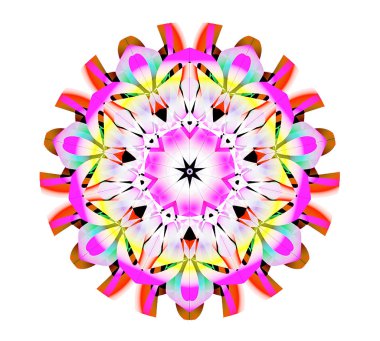 Pembemsi-mandala-ile-yedi-segmentleri-izole-on-beyaz