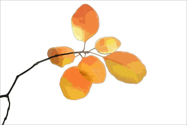 Φθινόπωρο-κλαδί-καπνό-δέντρο-απομονωμένο-σε-λευκό-εικονογράφηση — Φωτογραφία Αρχείου