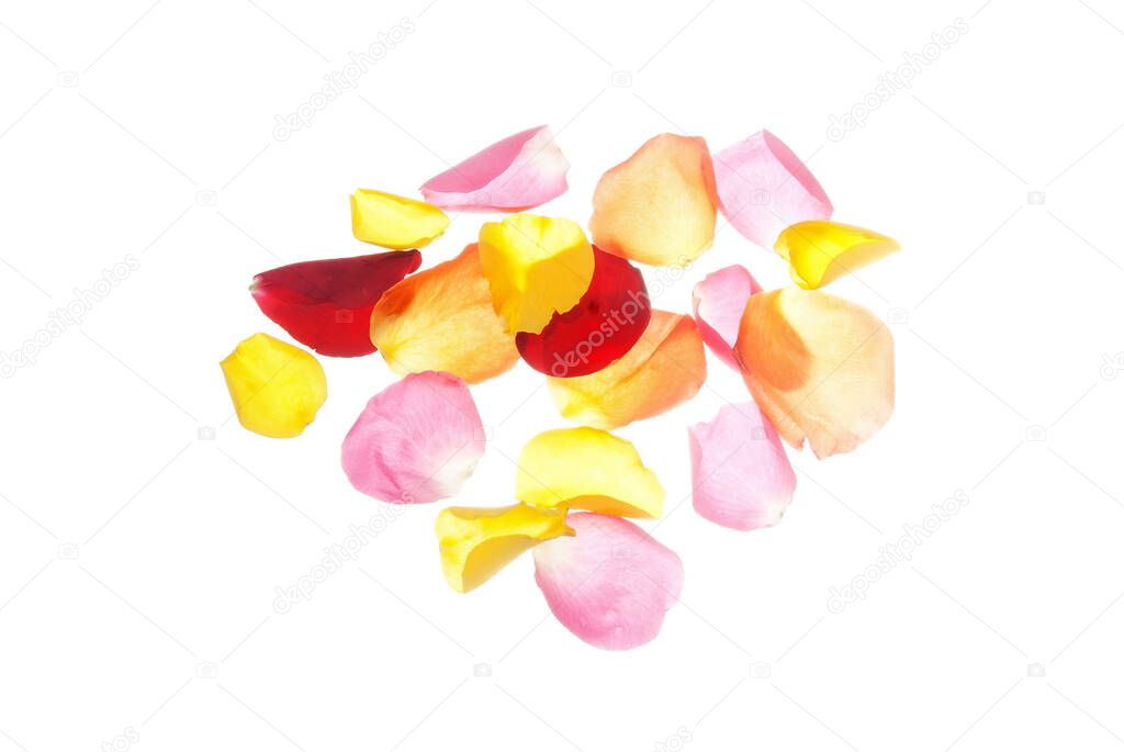 A pile of petals of rose isolated on white