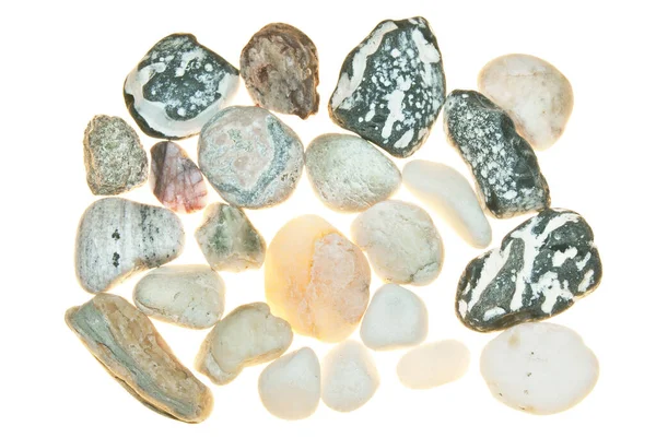 Zbieranie Kamieni Morza Śródziemnego Odizolowanych Biało — Zdjęcie stockowe