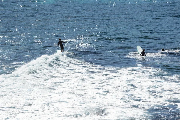 Серфинг Пляже Бронте Сиднее Новый Южный Уэльс Австралия — стоковое фото