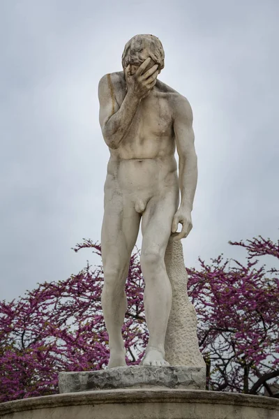 Paris Franciaország Április 2013 Káin Szobor Henri Vidal Gyönyörű Jardin — Stock Fotó