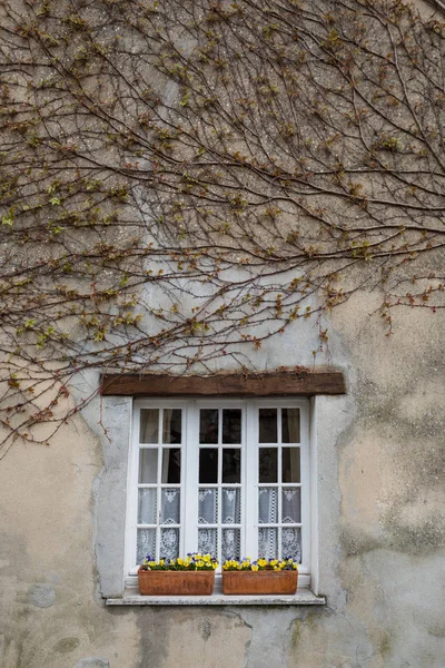 Egy Tipikus Francia Ház Virágok Ablak Dobozok — Stock Fotó