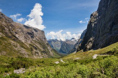 Çarpıcı sahne yakınındaki Milford ses, South Island, Yeni Zelanda
