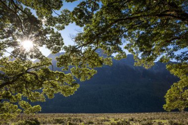 Ayna havuzları, çevre Milford ses, South Island, Yeni Zelanda