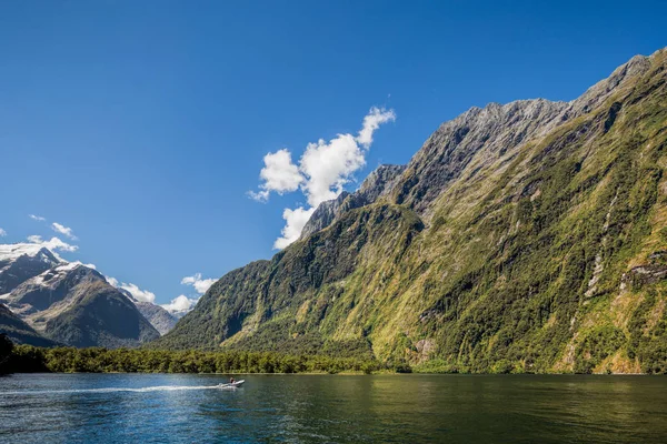Kreuzfahrt Auf Milford Sound Fiordland Südinsel Neuseeland — Stockfoto