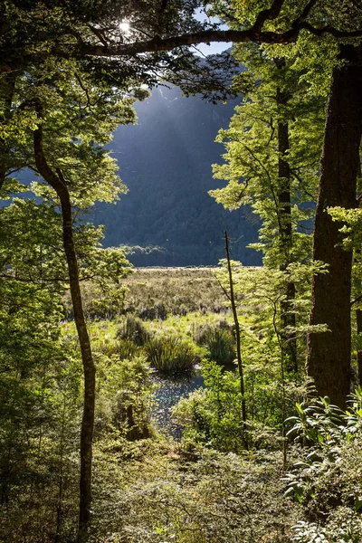 Mirror Pools Cerca Milford Sound Isla Sur Nueva Zelanda — Foto de Stock