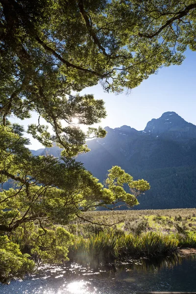 Ayna havuzları, çevre Milford ses, South Island, Yeni Zelanda