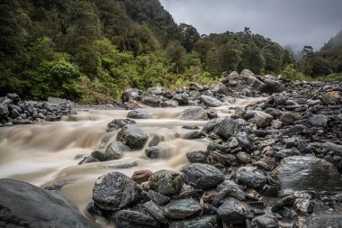 Şelale, Fox buzul, South Island, Yeni Zelanda
