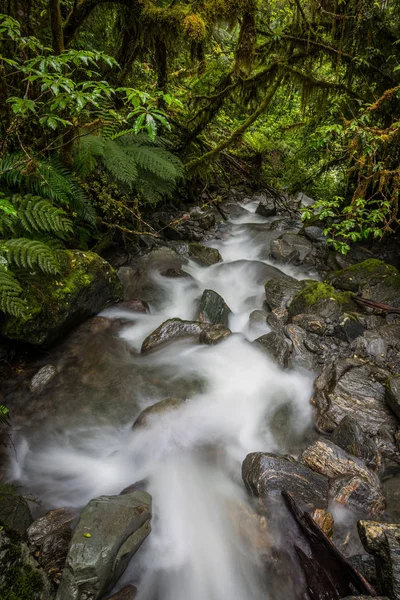 Waterfall Fox Glacier South Island New Zealand — Stock Photo, Image