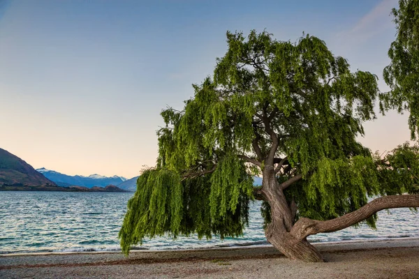 Lago Wanaka Isla Sur Nueva Zelanda — Foto de Stock
