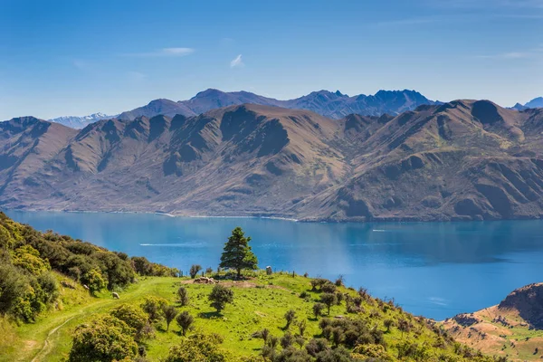 Roy'un zirve, South Island, Yeni Zelanda kadar tırmanma