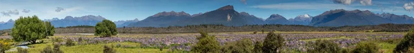 Superbe Paysage Près Milford Sound Île Sud Nouvelle Zélande — Photo