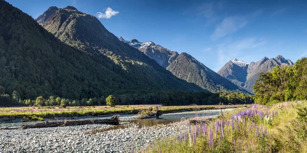 Приголомшливі Пейзажі Поблизу Milford Sound Південного Острова Нова Зеландія — стокове фото