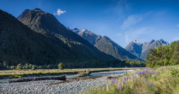 Stunning Scenery Milford Sound South Island New Zealand — Stock Photo, Image