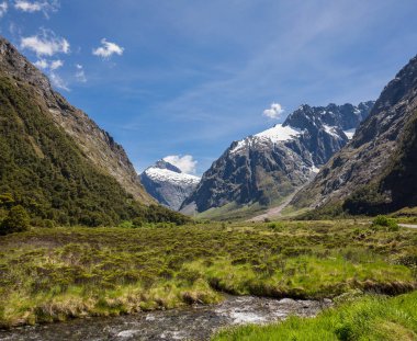 Çarpıcı sahne yakınındaki Milford ses, South Island, Yeni Zelanda