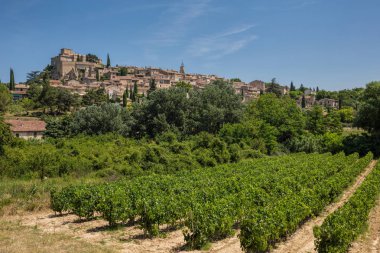 Ansouis, Provence, küçük bir kasabada bir üzüm ön planda görünümünü