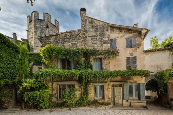 Ivy Vztahuje Dům Remy Provence Francie — Stock fotografie