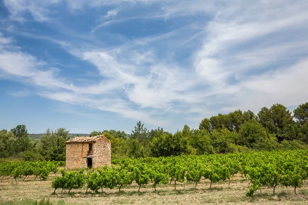 Cabanon Pedra Cabana Dos Trabalhadores Uma Vinha Provence — Fotografia de Stock