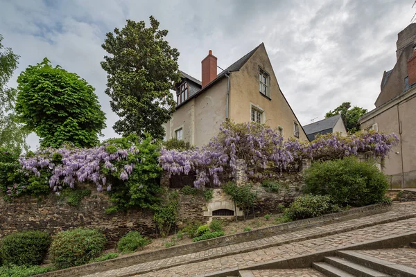 Glicine Una Casa Angers Maine Loire Dipartimento Francia — Foto Stock