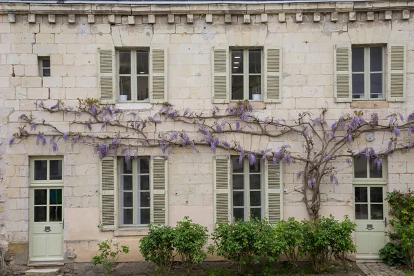Wisteria Felnövő Egy Tipikus Francia Ház Zöld Redőnyök — Stock Fotó