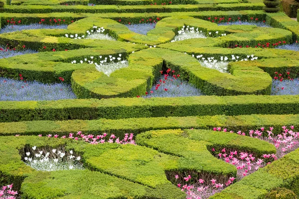 Los Famosos Jardines Castillo Villandry Región Indre Loire Del Valle —  Fotos de Stock