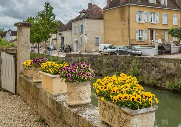 Chablis France Mai 2013 Planteur Fleurs Dans Belle Ville Chablis — Photo