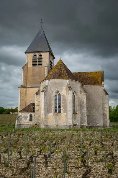 Weinberg Und Kirche Claire Der Region Chablis Burgund Frankreich — Stockfoto