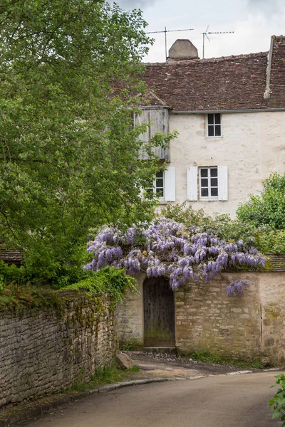 Wisteria Uma Porta Entrada Pedra Pequena Aldeia Vezelay França Rural — Fotografia de Stock