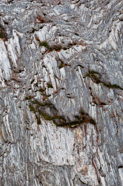Franz Josef Glacier, Yeni Zelanda, buzul taş dokulu görünümünü kapat