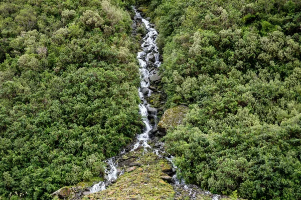 Waterfall and vegetation at Franz Josef Glacier, south island New Zealand